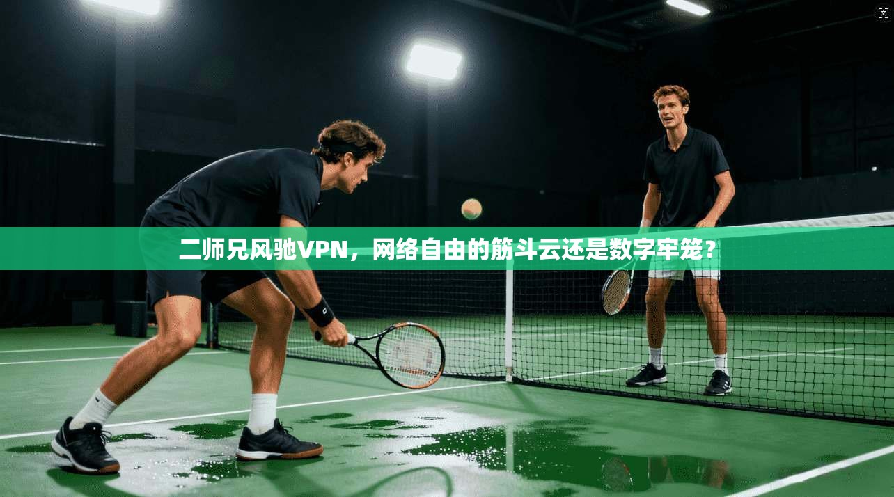 二师兄风驰VPN，网络自由的筋斗云还是数字牢笼？