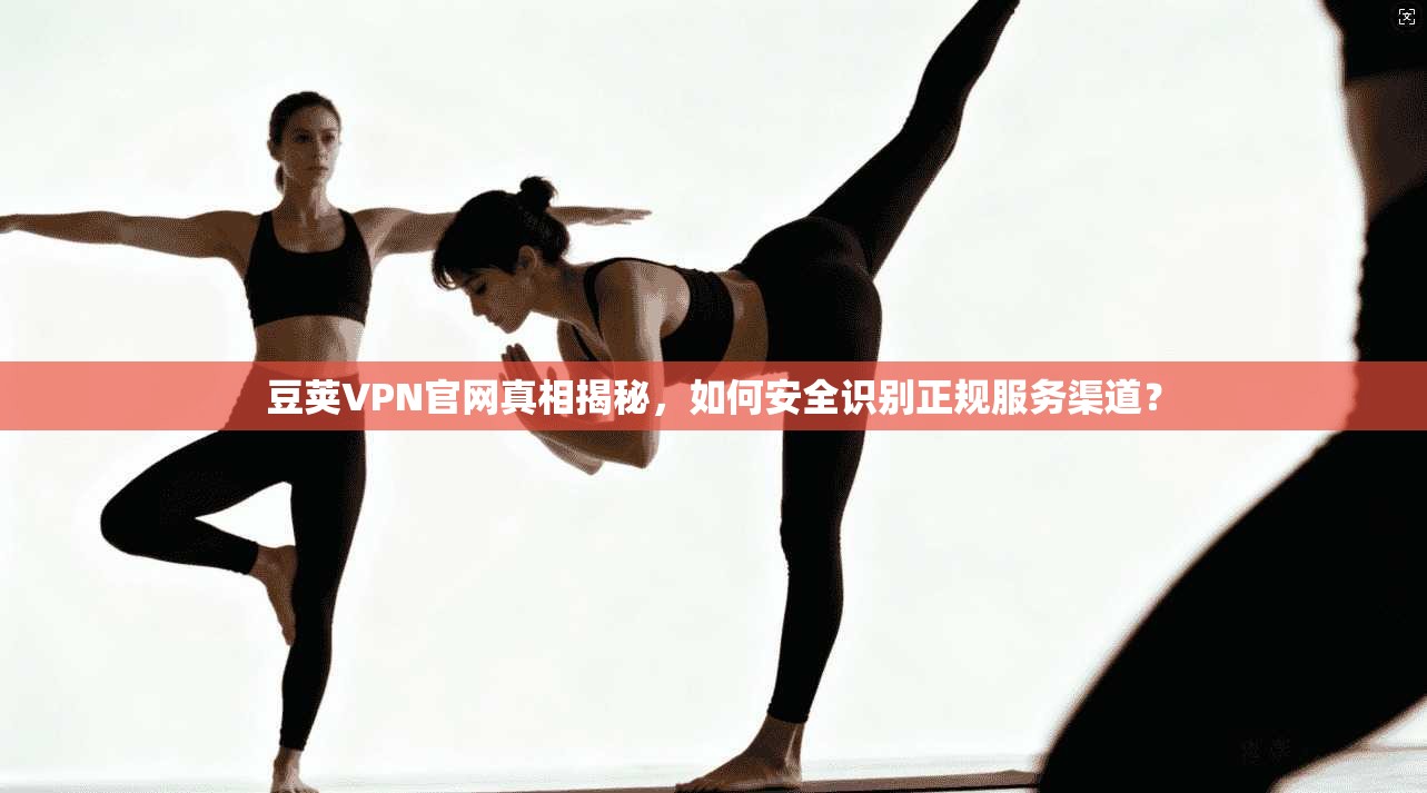 豆荚VPN官网真相揭秘，如何安全识别正规服务渠道？
