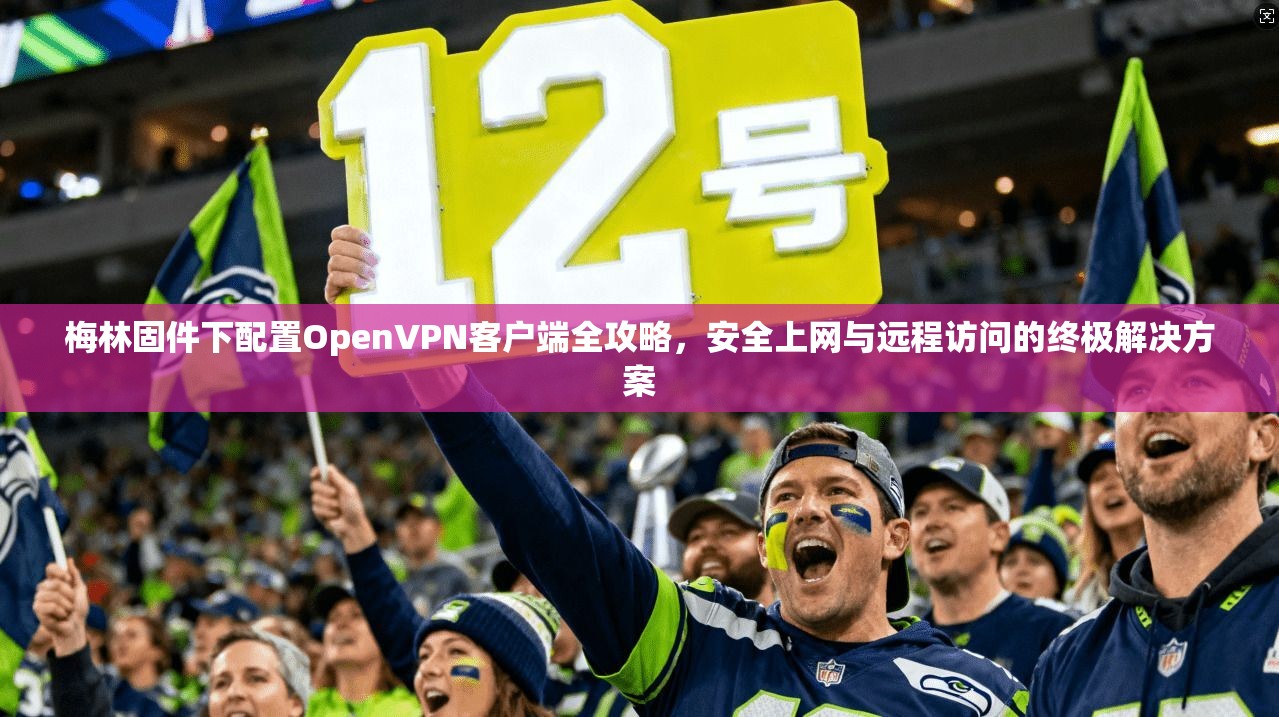梅林固件下配置OpenVPN客户端全攻略，安全上网与远程访问的终极解决方案
