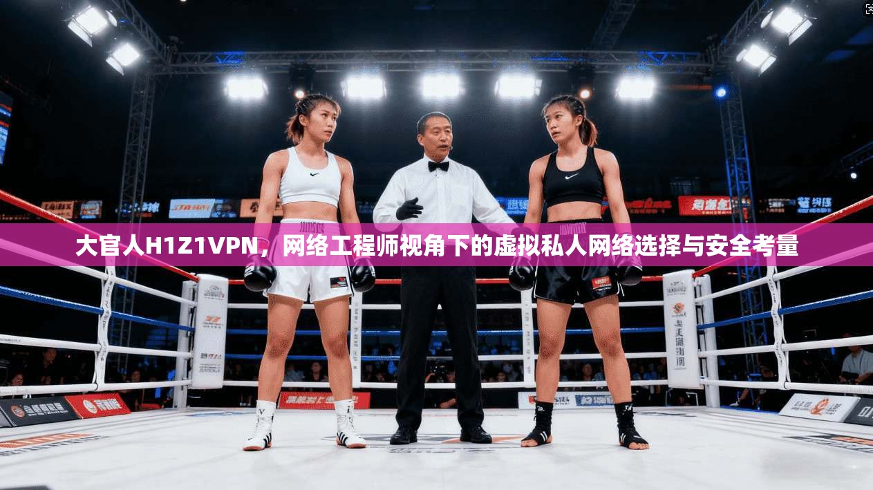 大官人H1Z1VPN,网络工程师视角下的虚拟私人网络选择与安全考量 大官人H1Z1VPN,网络工程师视角下的虚拟私人网络选择与安全考量