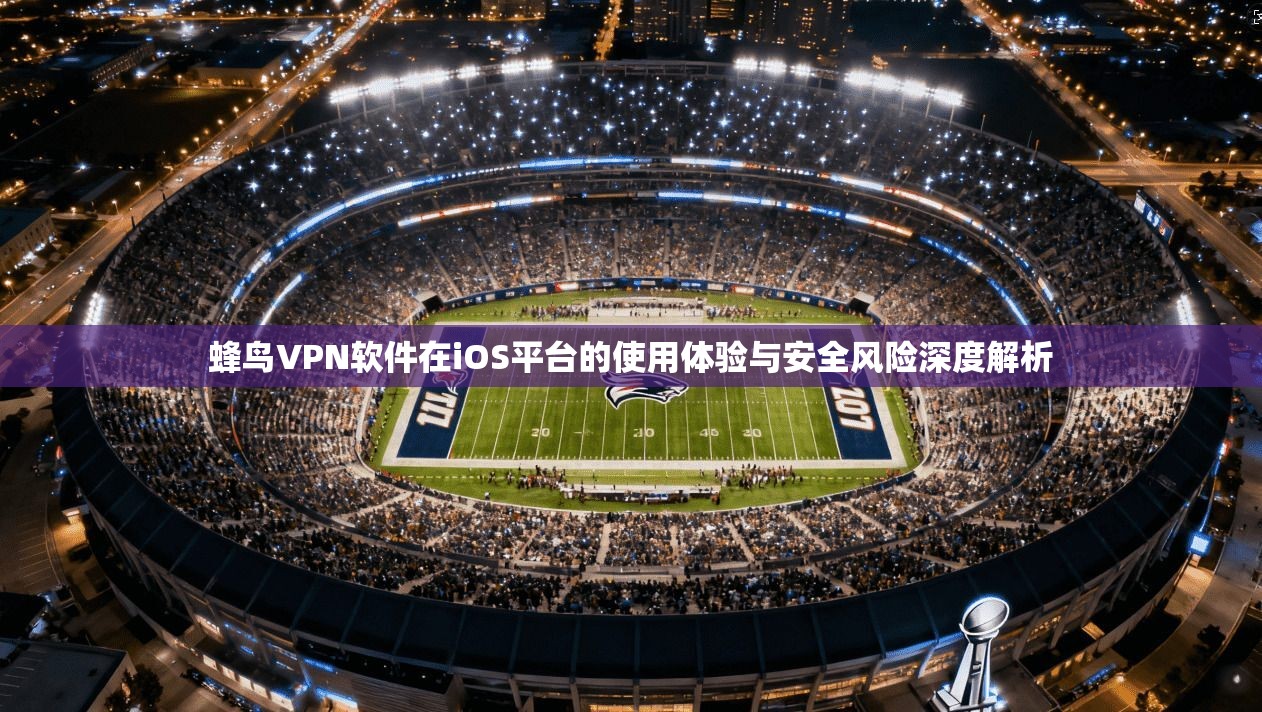 蜂鸟VPN软件在iOS平台的使用体验与安全风险深度解析