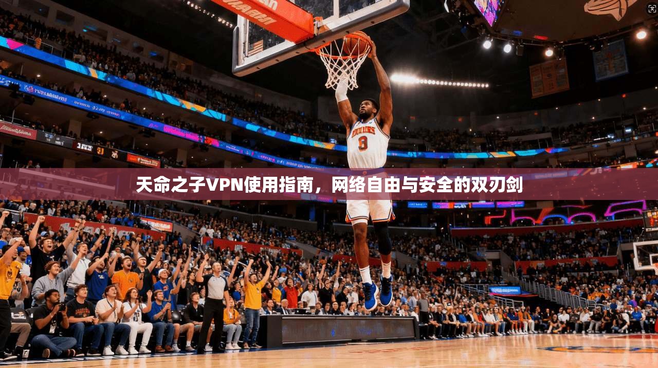 天命之子VPN使用指南，网络自由与安全的双刃剑