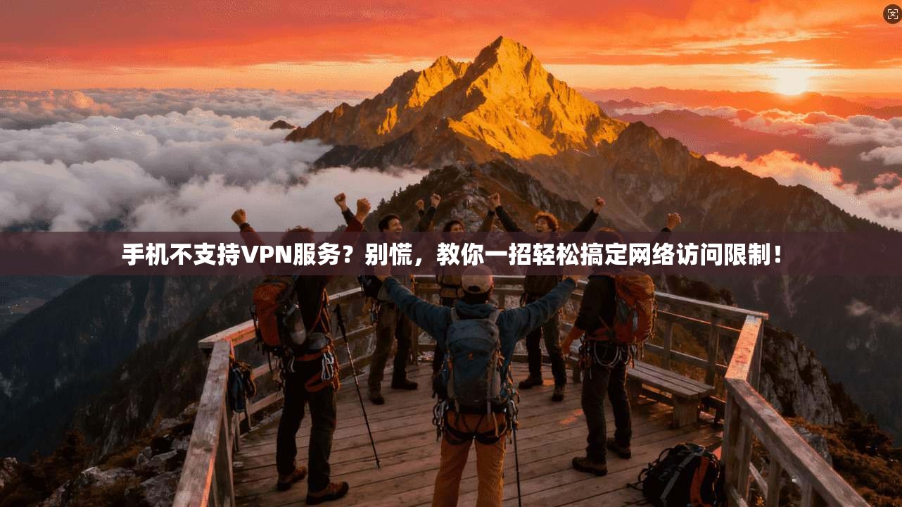 手机不支持VPN服务？别慌，教你一招轻松搞定网络访问限制！