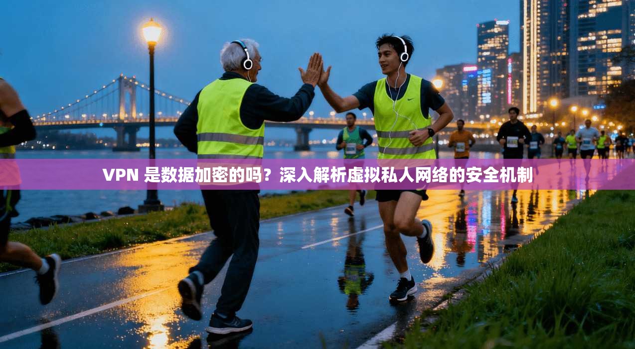 VPN 是数据加密的吗？深入解析虚拟私人网络的安全机制