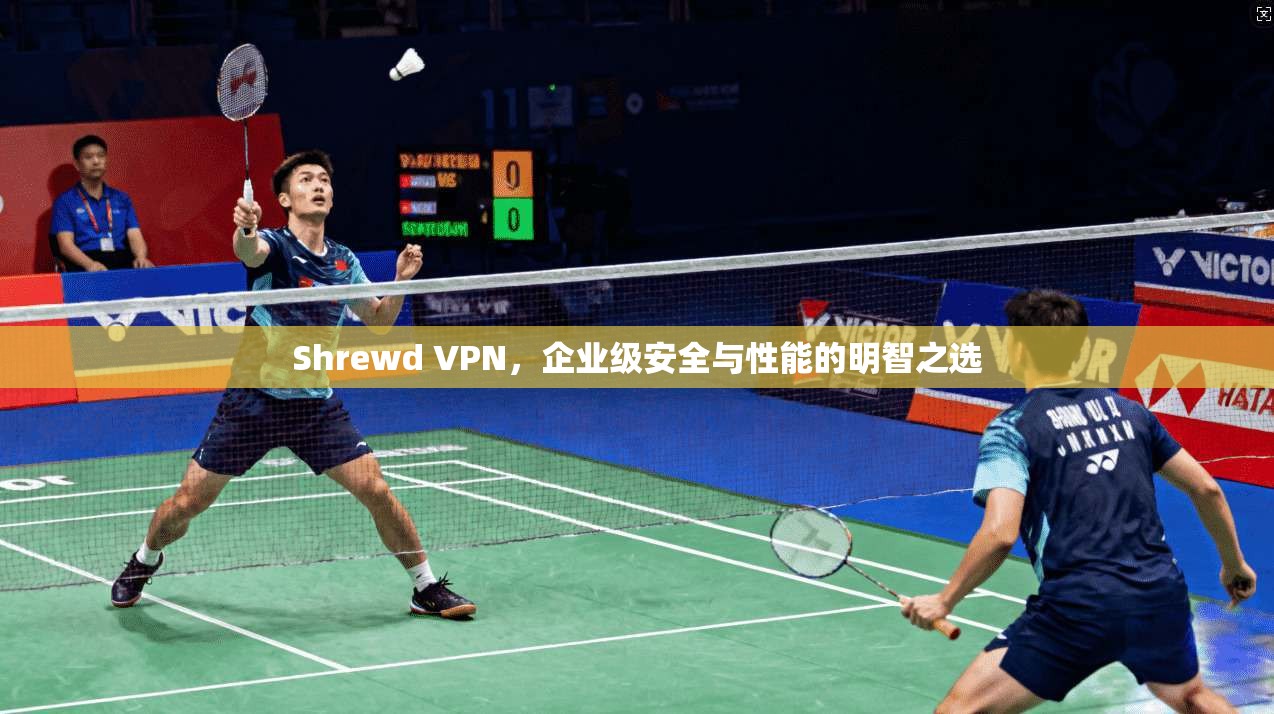 Shrewd VPN，企业级安全与性能的明智之选