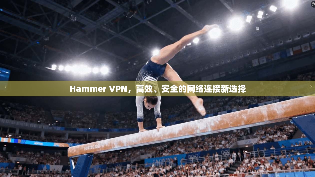 Hammer VPN,高效、安全的网络连接新选择