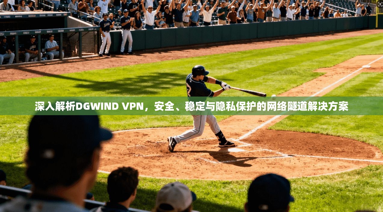深入解析DGWIND VPN，安全、稳定与隐私保护的网络隧道解决方案