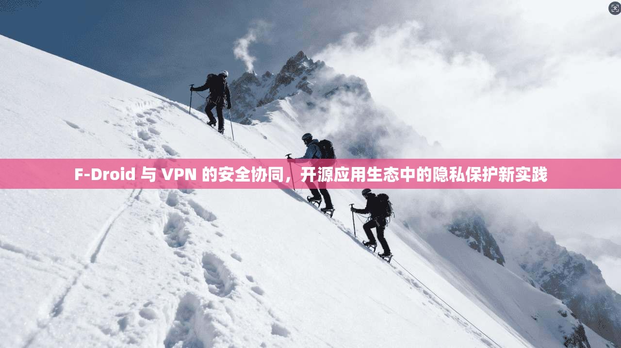 F-Droid 与 VPN 的安全协同，开源应用生态中的隐私保护新实践