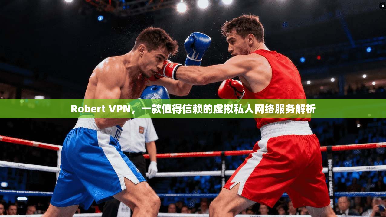 Robert VPN，一款值得信赖的虚拟私人网络服务解析