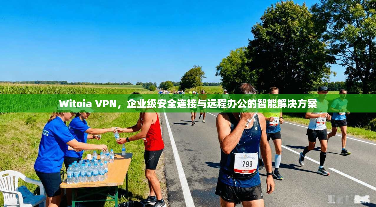 Witoia VPN，企业级安全连接与远程办公的智能解决方案