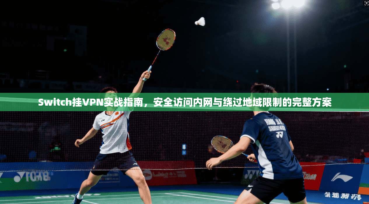 Switch挂VPN实战指南,安全访问内网与绕过地域限制的完整方案