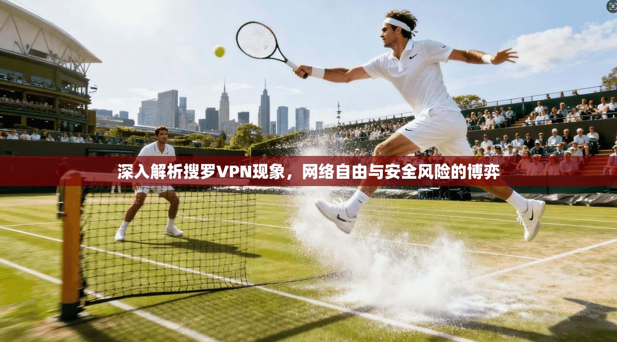 深入解析搜罗VPN现象,网络自由与安全风险的博弈