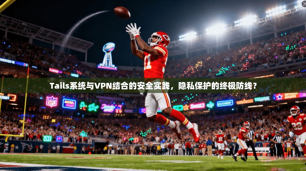 Tails系统与VPN结合的安全实践，隐私保护的终极防线？