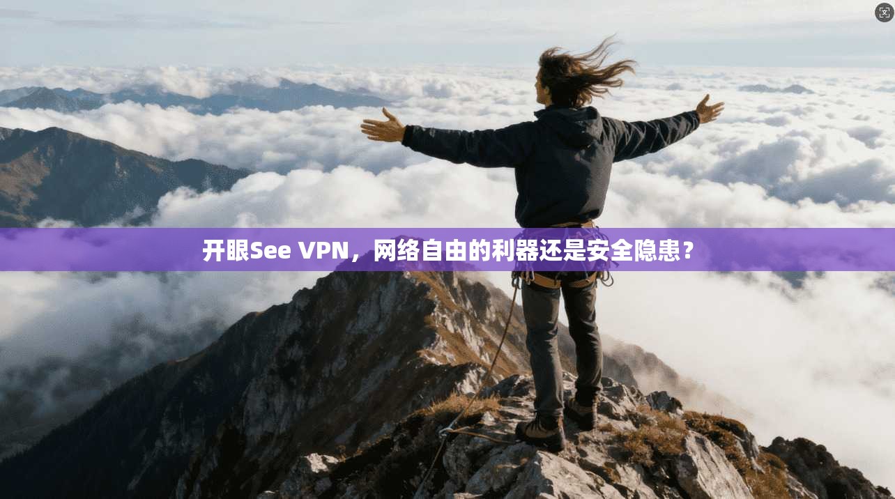 开眼See VPN，网络自由的利器还是安全隐患？
