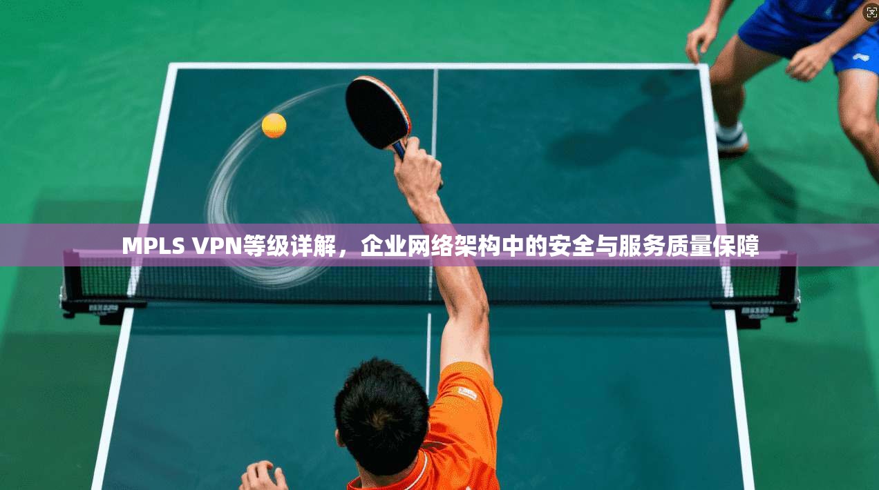 MPLS VPN等级详解,企业网络架构中的安全与服务质量保障 MPLS VPN等级详解,企业网络架构中的安全与服务质量保障