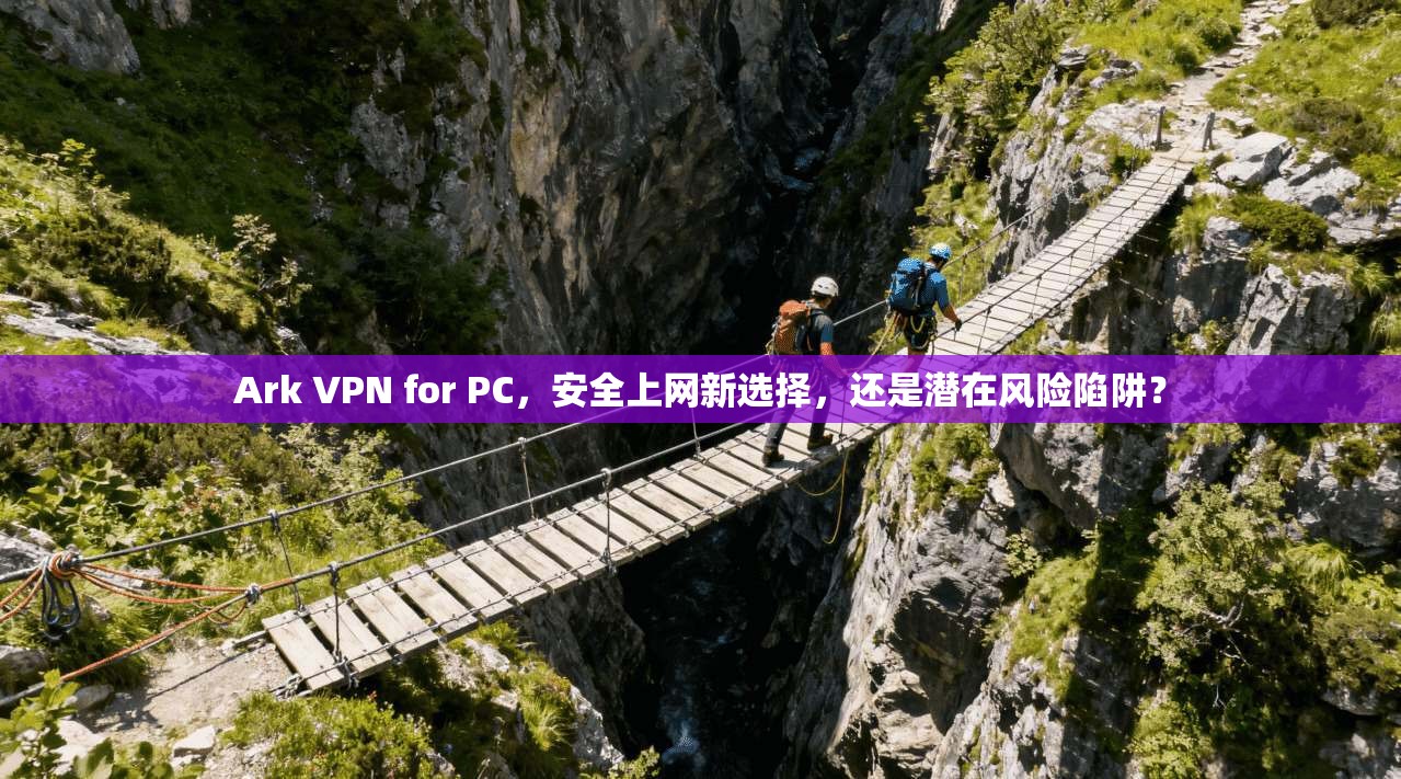 Ark VPN for PC,安全上网新选择,还是潜在风险陷阱?