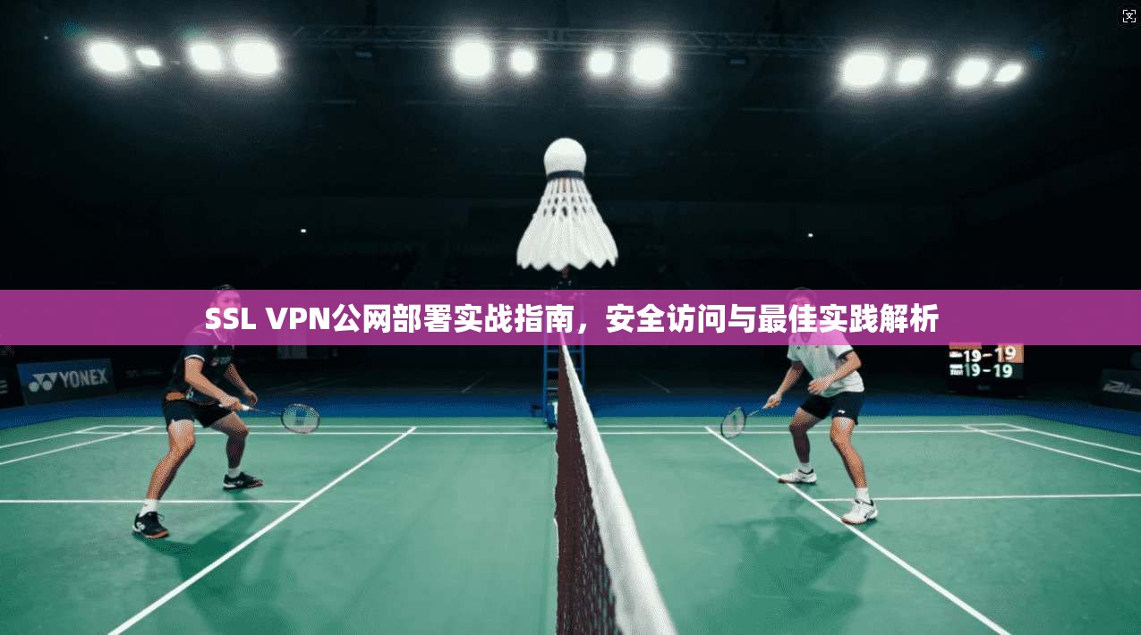 SSL VPN公网部署实战指南，安全访问与最佳实践解析