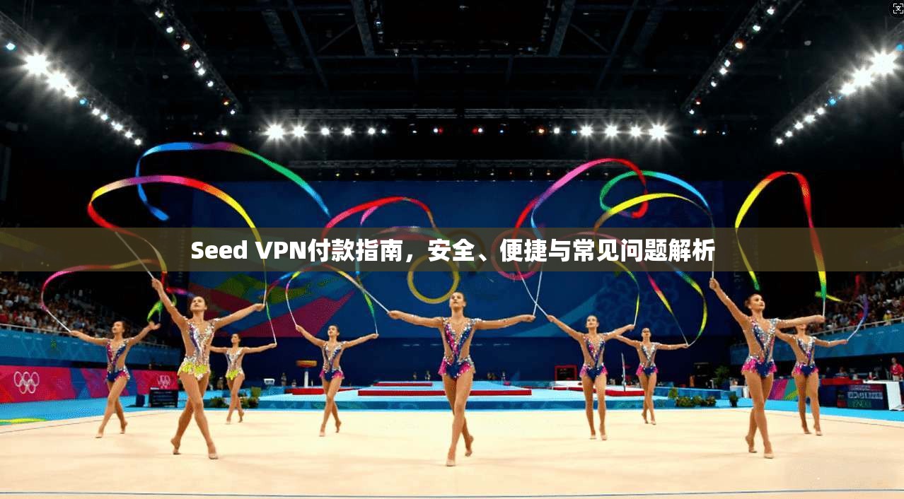 Seed VPN付款指南,安全、便捷与常见问题解析