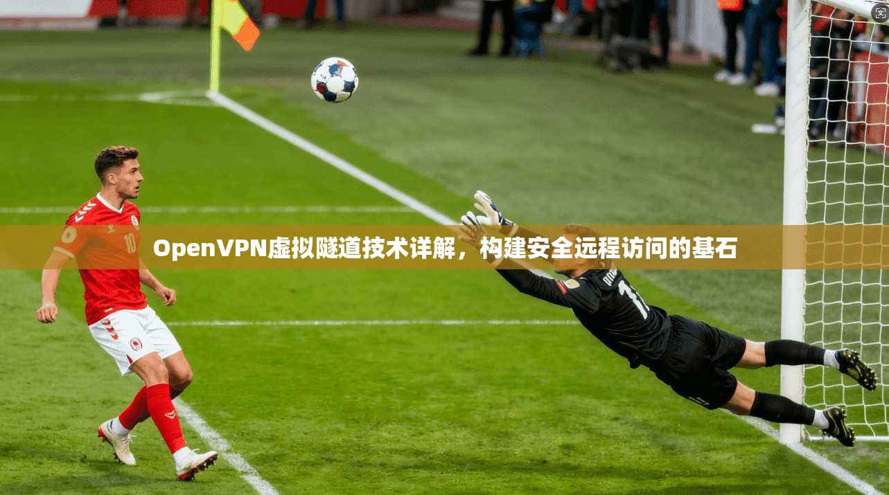 OpenVPN虚拟隧道技术详解，构建安全远程访问的基石