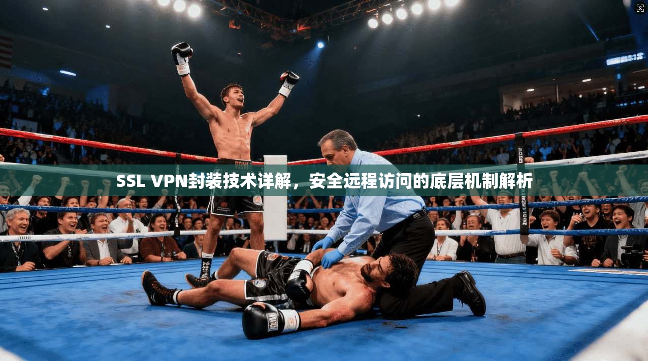 SSL VPN封装技术详解,安全远程访问的底层机制解析