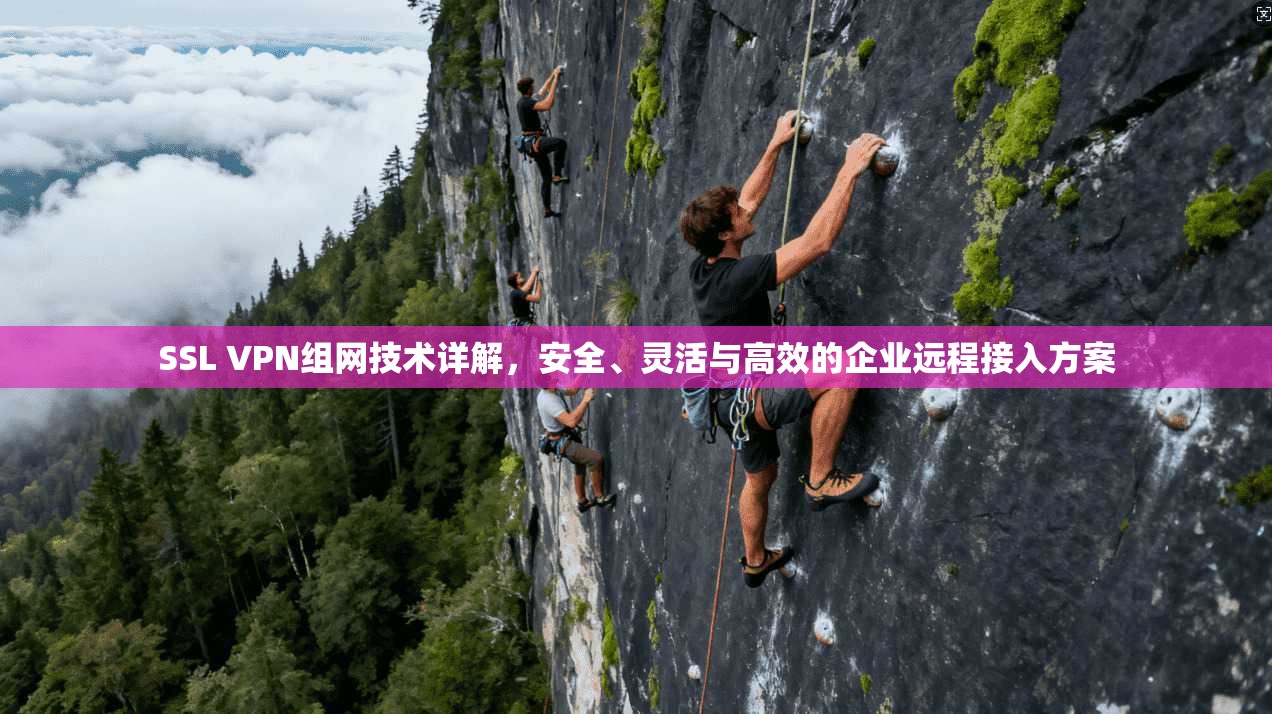 SSL VPN组网技术详解,安全、灵活与高效的企业远程接入方案