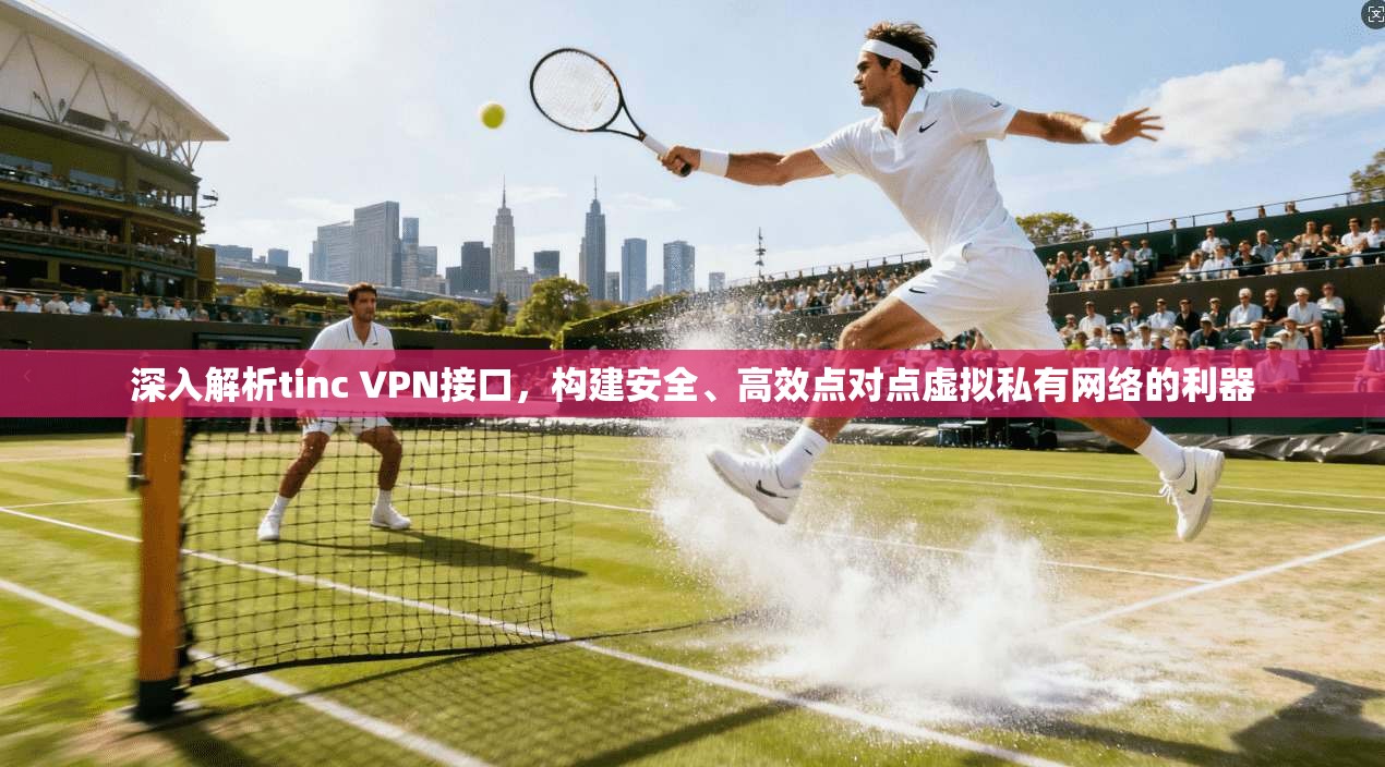 深入解析tinc VPN接口，构建安全、高效点对点虚拟私有网络的利器