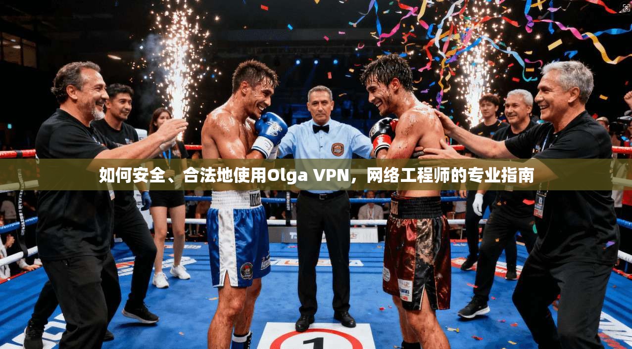 如何安全、合法地使用Olga VPN，网络工程师的专业指南