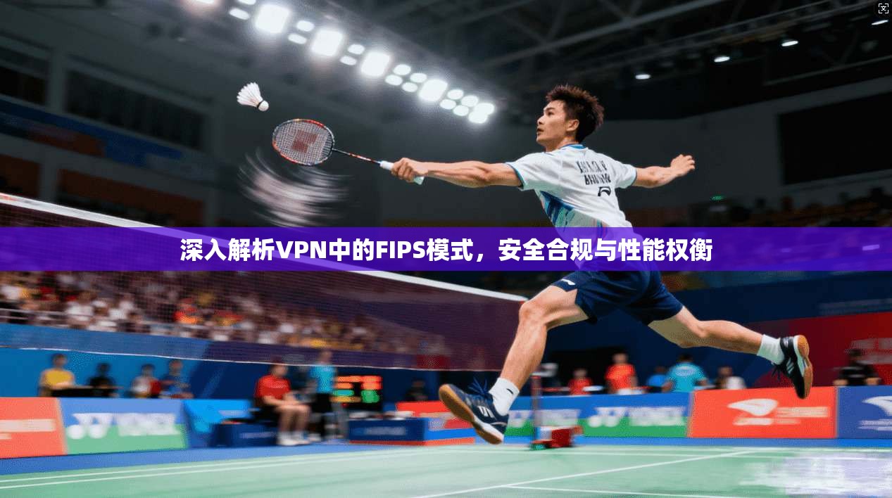 深入解析VPN中的FIPS模式,安全合规与性能权衡 深入解析VPN中的FIPS模式,安全合规与性能权衡