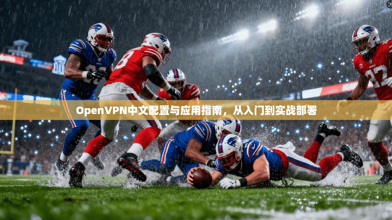 OpenVPN中文配置与应用指南，从入门到实战部署