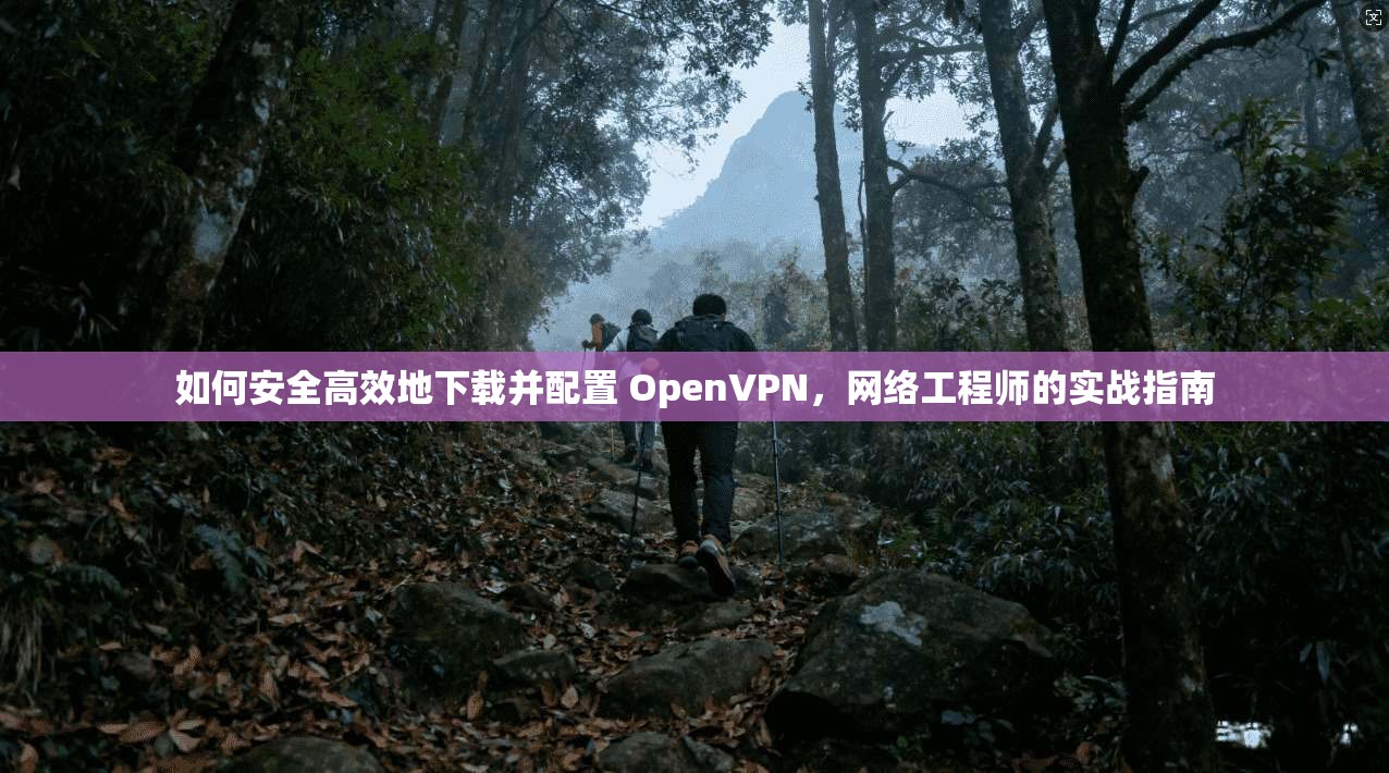 如何安全高效地下载并配置 OpenVPN，网络工程师的实战指南