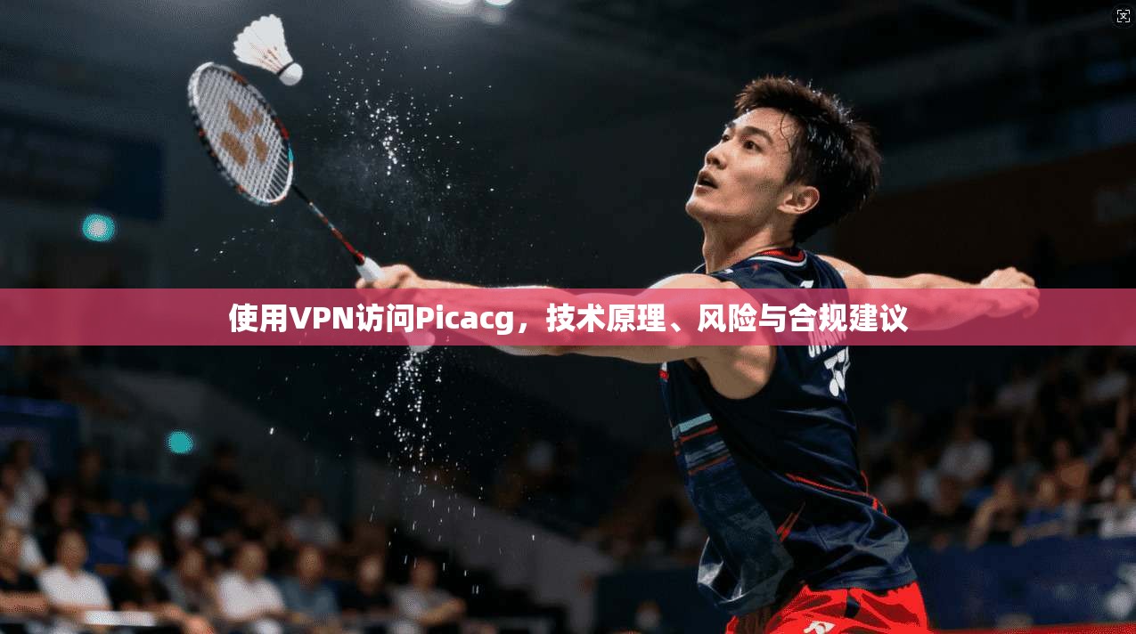 使用VPN访问Picacg，技术原理、风险与合规建议