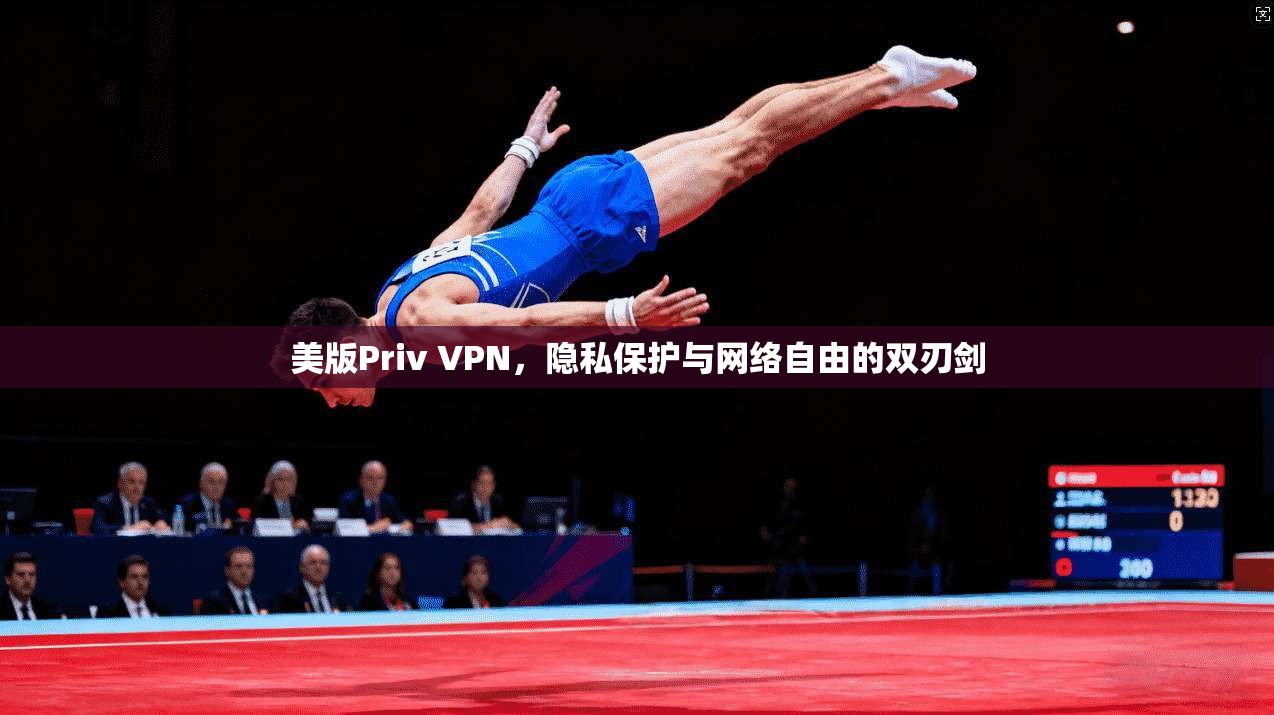 美版Priv VPN，隐私保护与网络自由的双刃剑