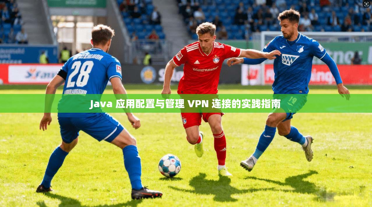 Java 应用配置与管理 VPN 连接的实践指南