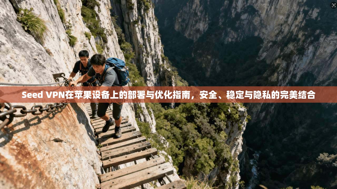 Seed VPN在苹果设备上的部署与优化指南，安全、稳定与隐私的完美结合