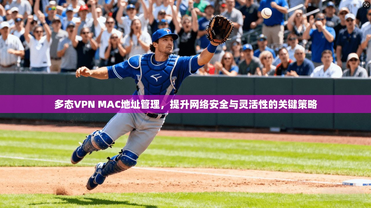 多态VPN MAC地址管理，提升网络安全与灵活性的关键策略