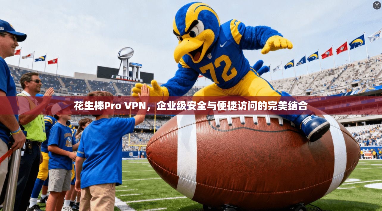 花生棒Pro VPN，企业级安全与便捷访问的完美结合