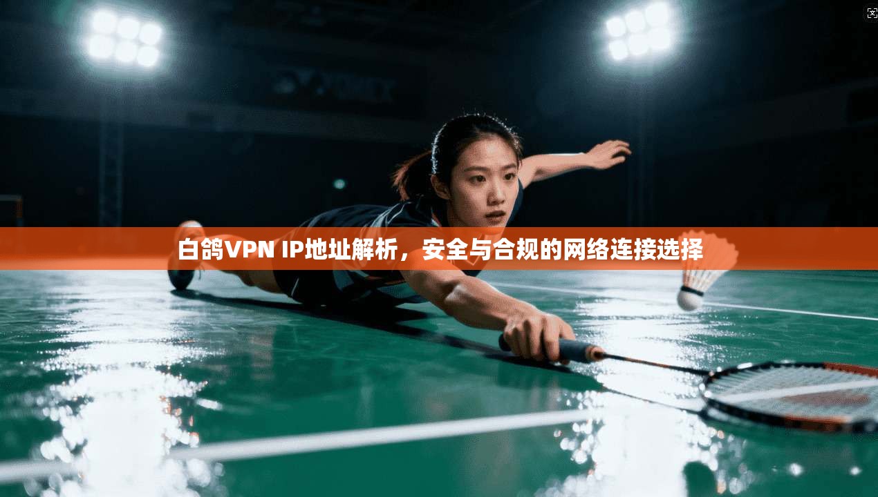 白鸽VPN IP地址解析,安全与合规的网络连接选择