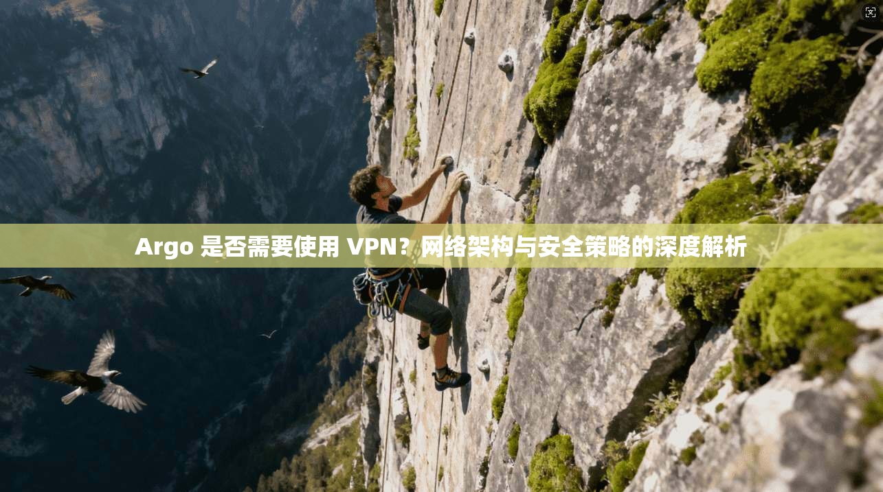 Argo 是否需要使用 VPN?网络架构与安全策略的深度解析
