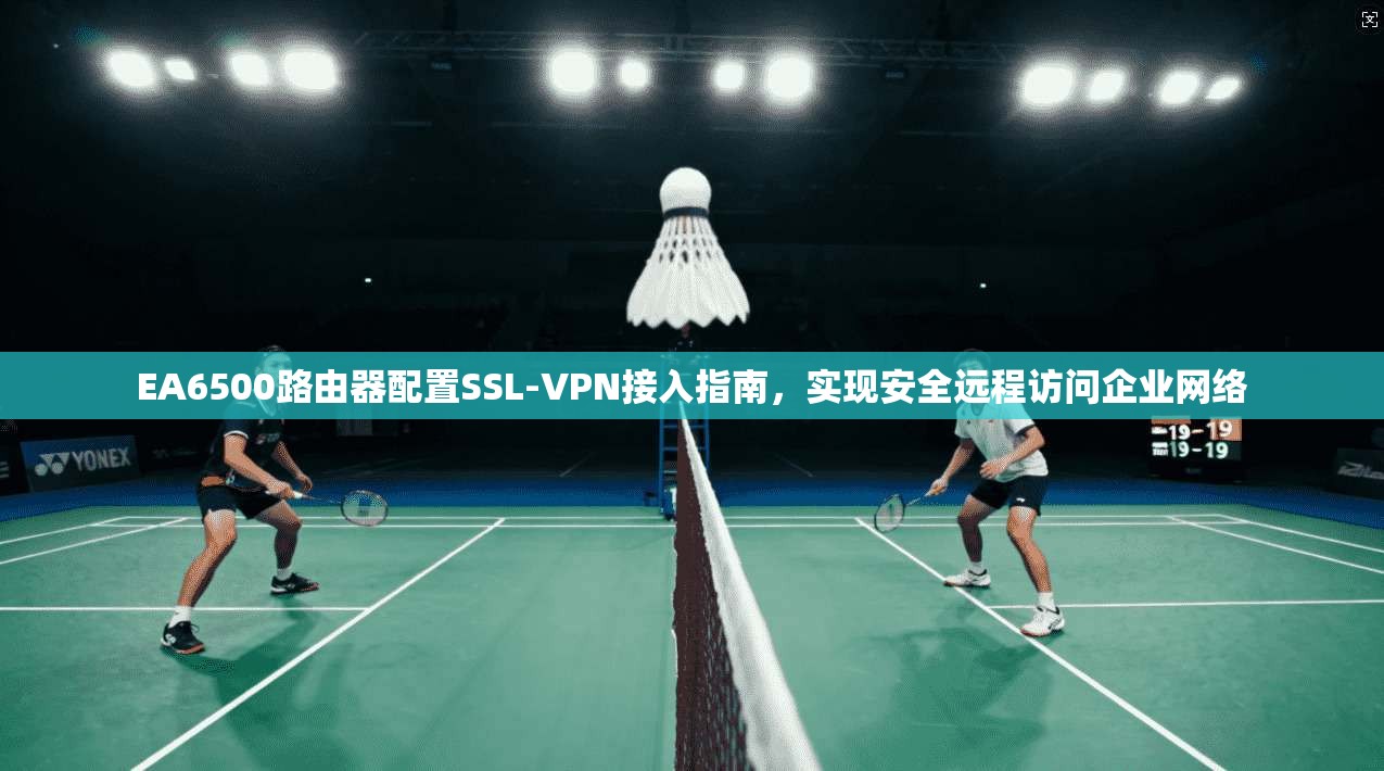 EA6500路由器配置SSL-VPN接入指南,实现安全远程访问企业网络 EA6500路由器配置SSL-VPN接入指南,实现安全远程访问企业网络