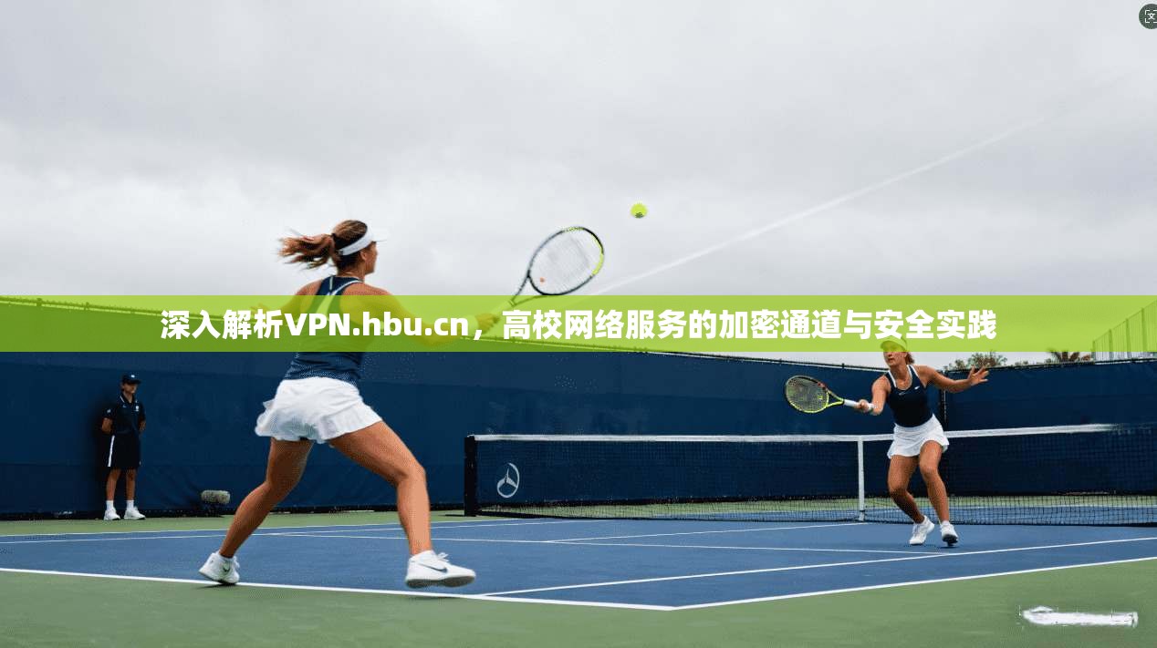 深入解析VPN.hbu.cn,高校网络服务的加密通道与安全实践