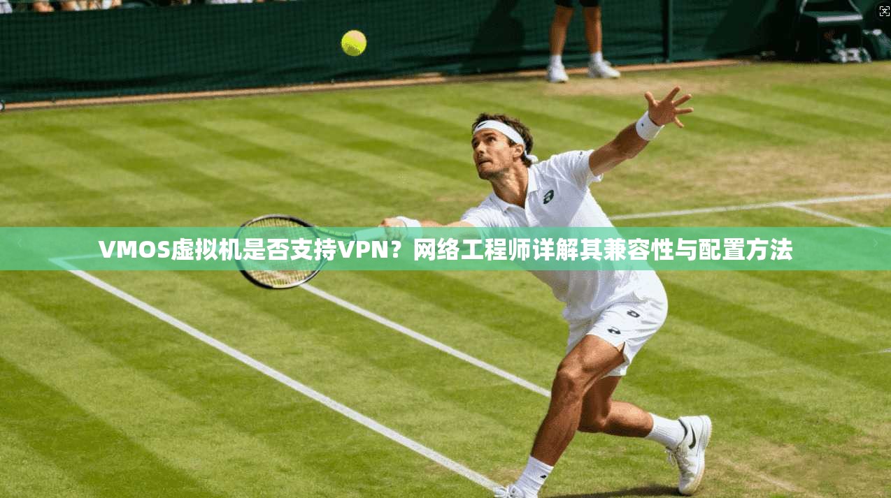 VMOS虚拟机是否支持VPN？网络工程师详解其兼容性与配置方法