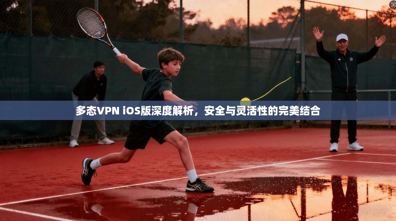 多态VPN iOS版深度解析,安全与灵活性的完美结合