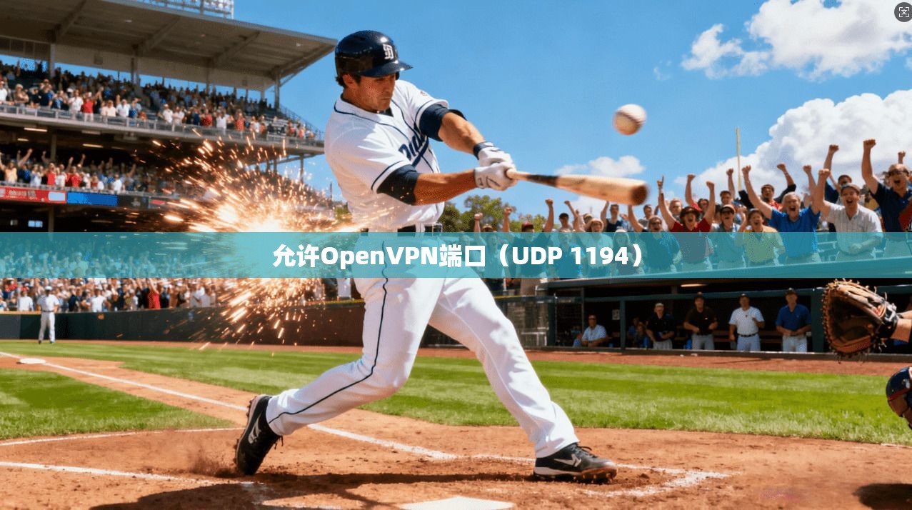 允许OpenVPN端口(UDP 1194) 允许OpenVPN端口(UDP 1194)