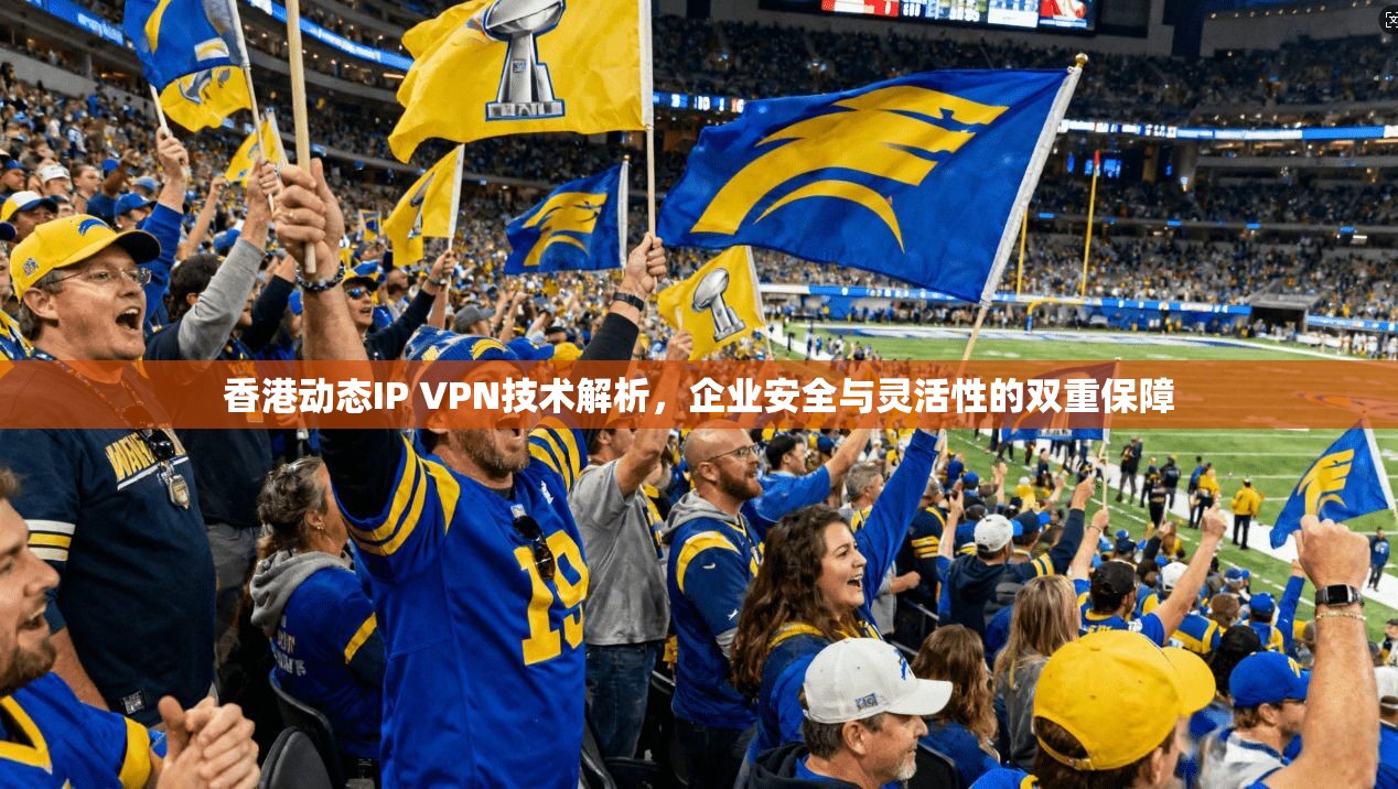 香港动态IP VPN技术解析,企业安全与灵活性的双重保障