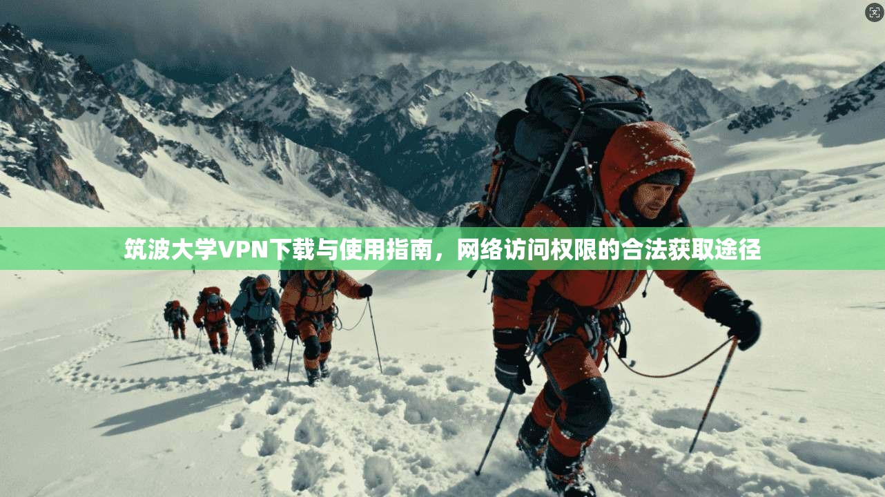 筑波大学VPN下载与使用指南,网络访问权限的合法获取途径