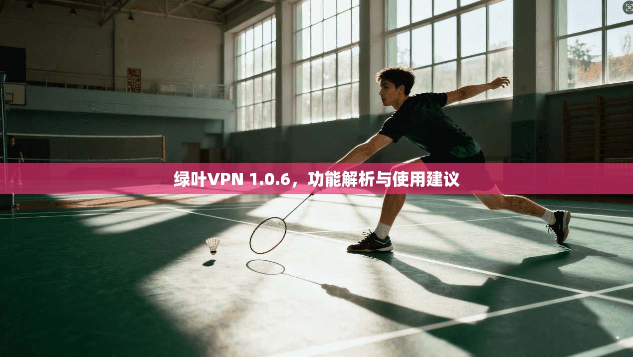 绿叶VPN 1.0.6，功能解析与使用建议