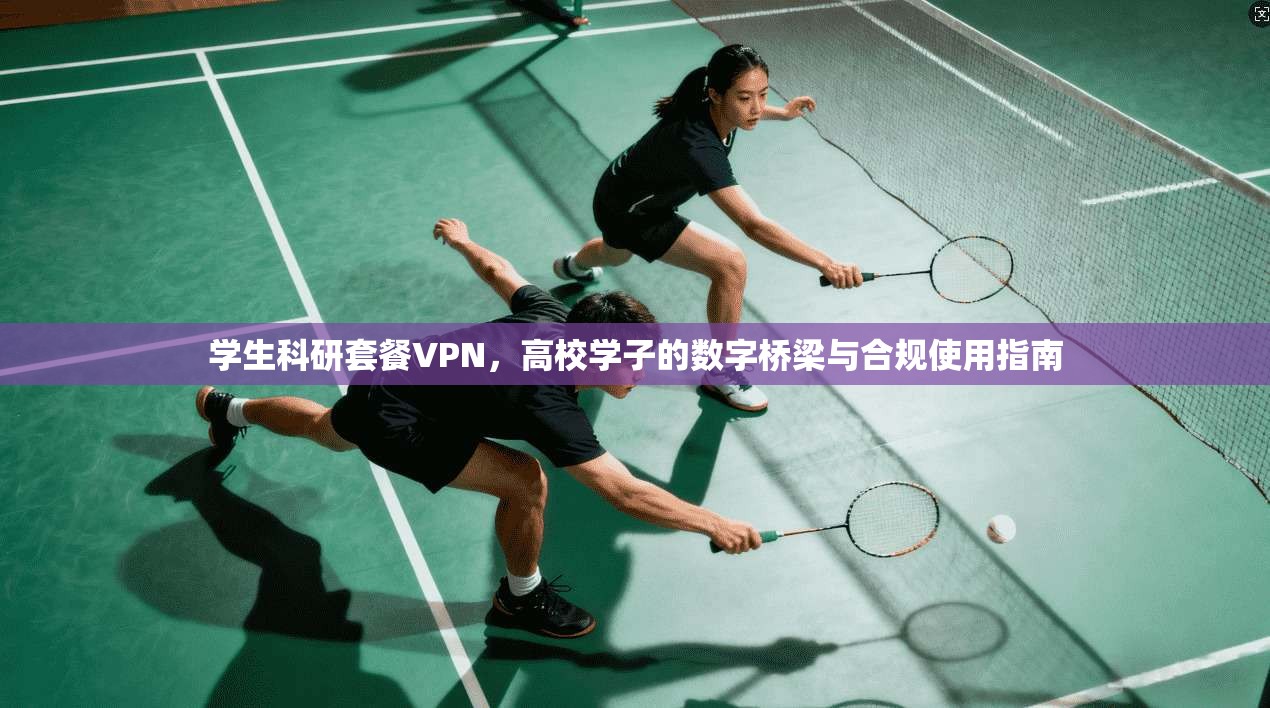 学生科研套餐VPN，高校学子的数字桥梁与合规使用指南