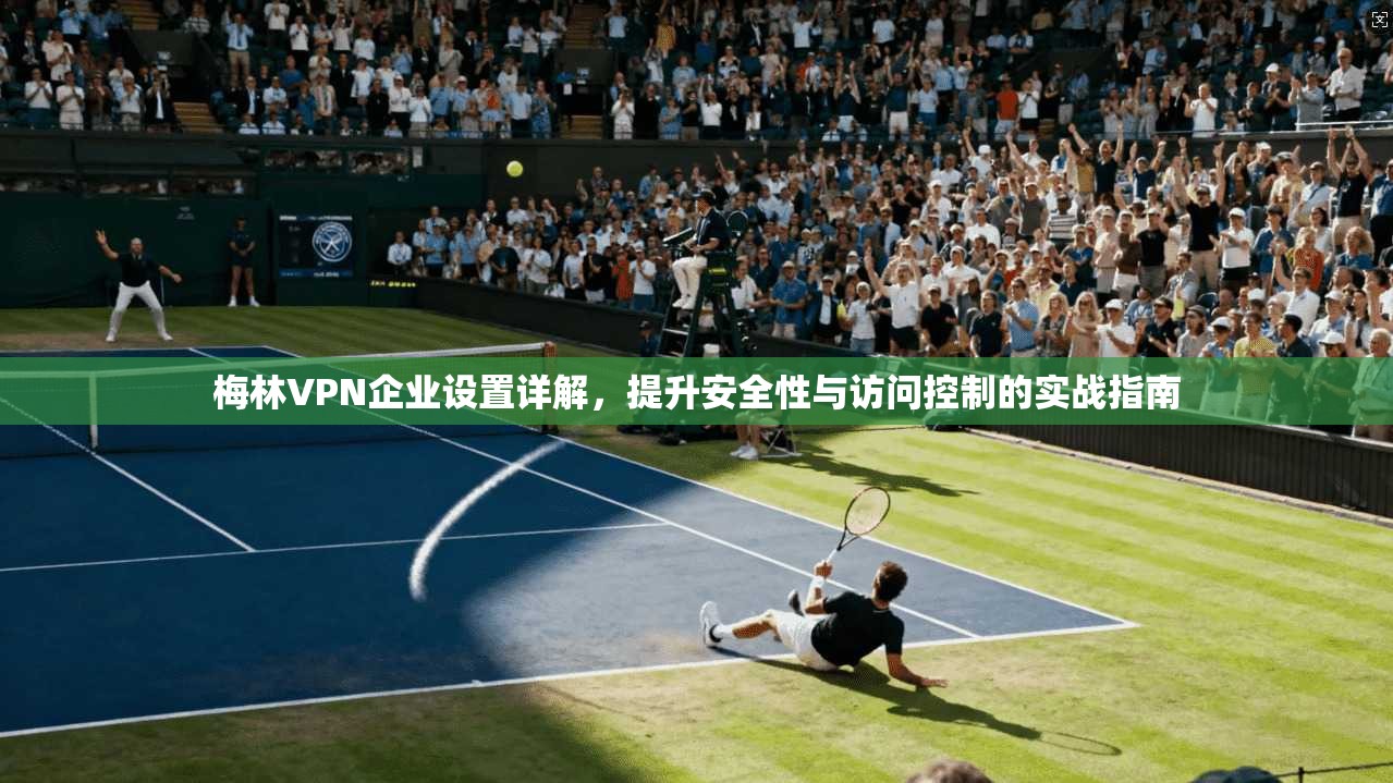 梅林VPN企业设置详解，提升安全性与访问控制的实战指南