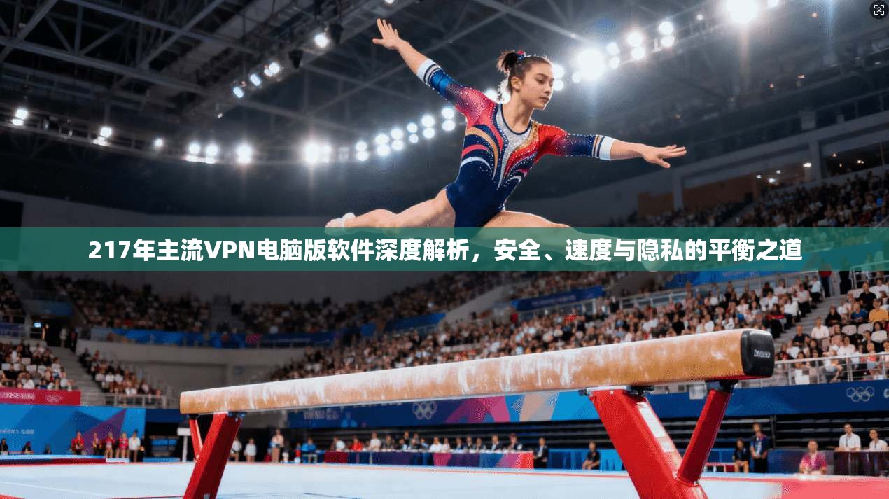 217年主流VPN电脑版软件深度解析，安全、速度与隐私的平衡之道