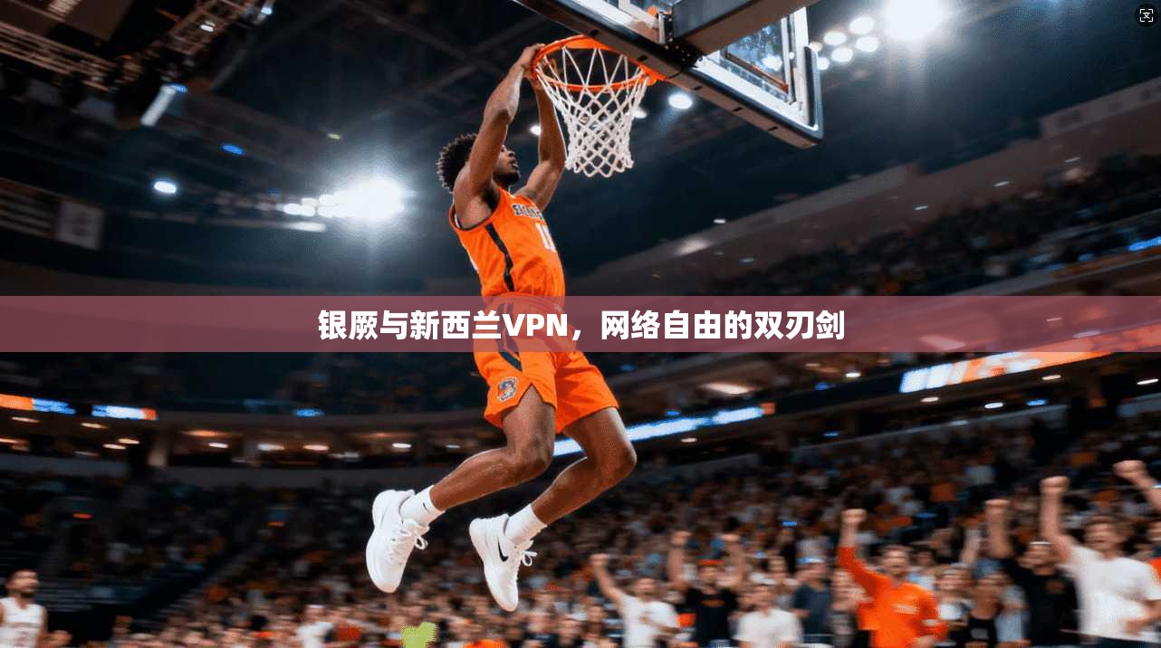 银厥与新西兰VPN，网络自由的双刃剑